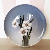 Teller mit Blume, weiße Narzisse, Royal Copenhagen Nr. 29-1125