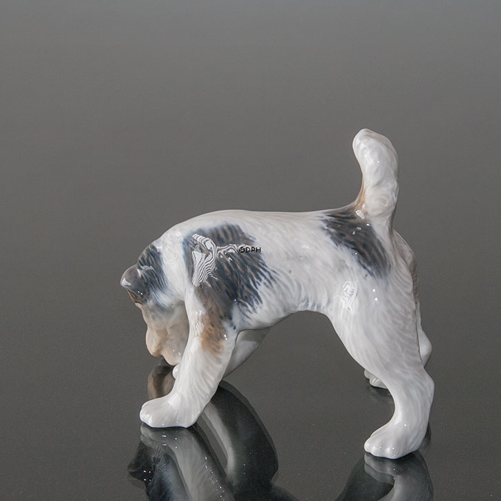 Rauhaariger Terrier schnüffelt den Boden, Royal Copenhagen Hund Figur Nr. 3020