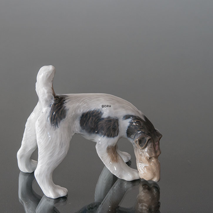 Rauhaariger Terrier schnüffelt den Boden, Royal Copenhagen Hund Figur Nr. 3020