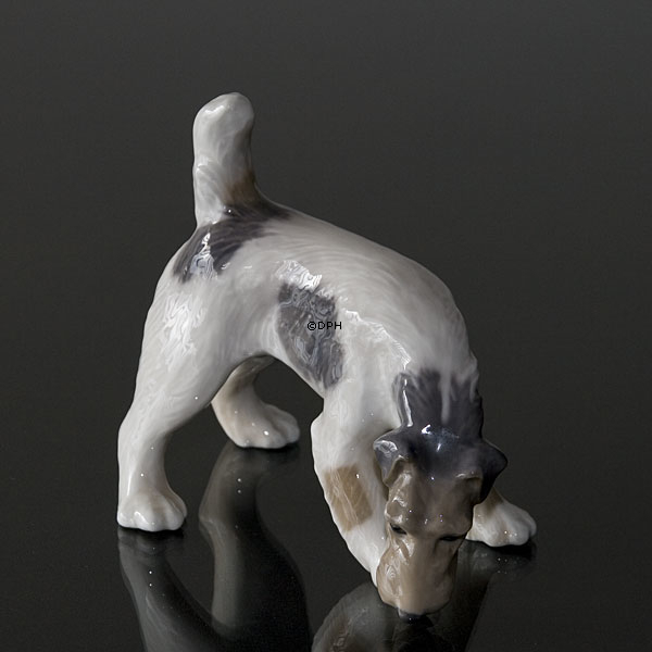 Rauhaariger Terrier schnüffelt den Boden, Royal Copenhagen Hund Figur Nr. 3020