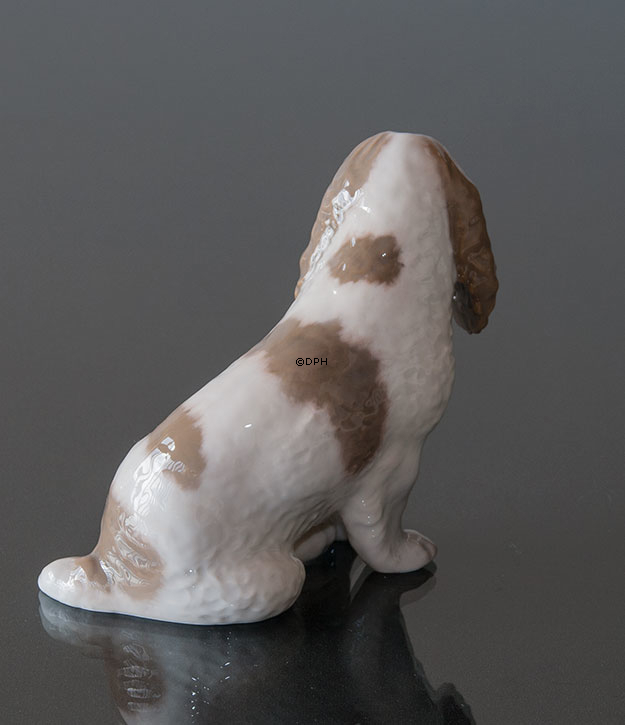 Cocker Spaniel, der sich hinsitzt, Royal Copenhagen Hundefigur Nr. 3116
