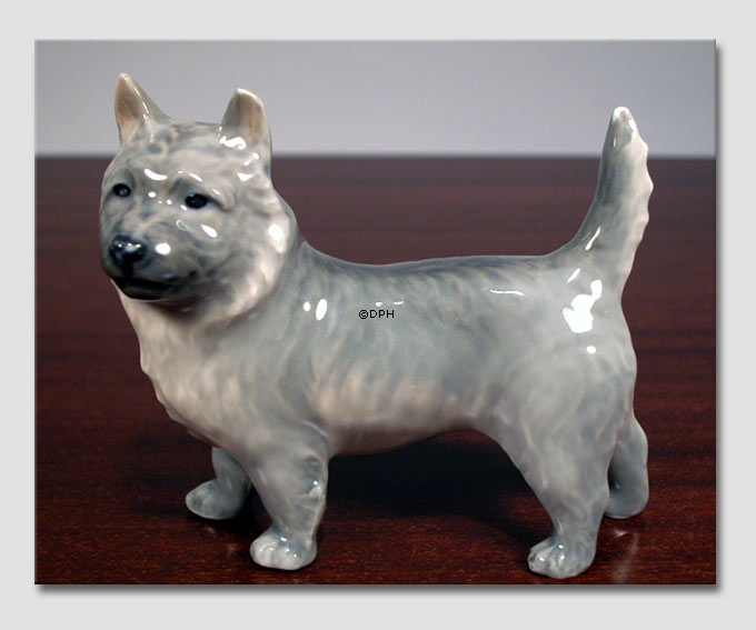 Cairn Terrier 10cm, Royal Copenhagen Hund Figur Nr. 3205