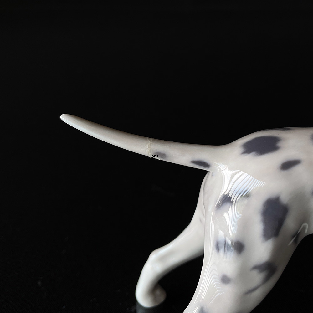 Dalmatiner, Royal Copenhagen Hund Figur Nr. 3501 (HINWEIS: mit Fehlern, Schwanz angeklebt)