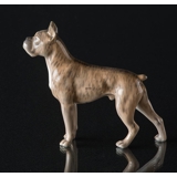 Boxer stehtend, Royal Copenhagen Hund Figur Nr. 3634