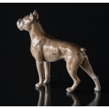 Boxer stehtend, Royal Copenhagen Hund Figur Nr. 3634