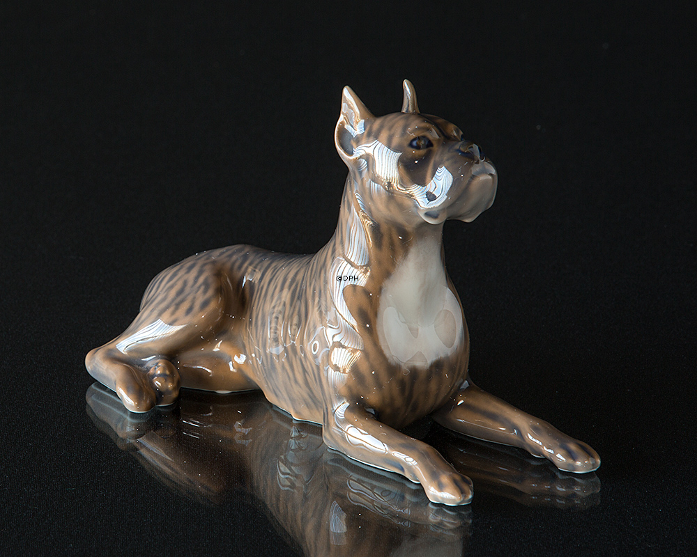 Boxer liegt und schaut nach oben, Royal Copenhagen Hundefigur Nr. 3635