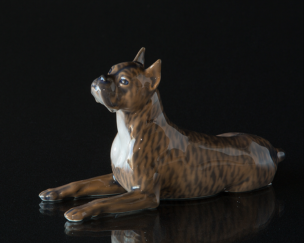 Boxer liegt und schaut nach oben, Royal Copenhagen Hundefigur Nr. 3635