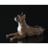 Boxer liegt und schaut nach oben, Royal Copenhagen Hundefigur Nr. 3635
