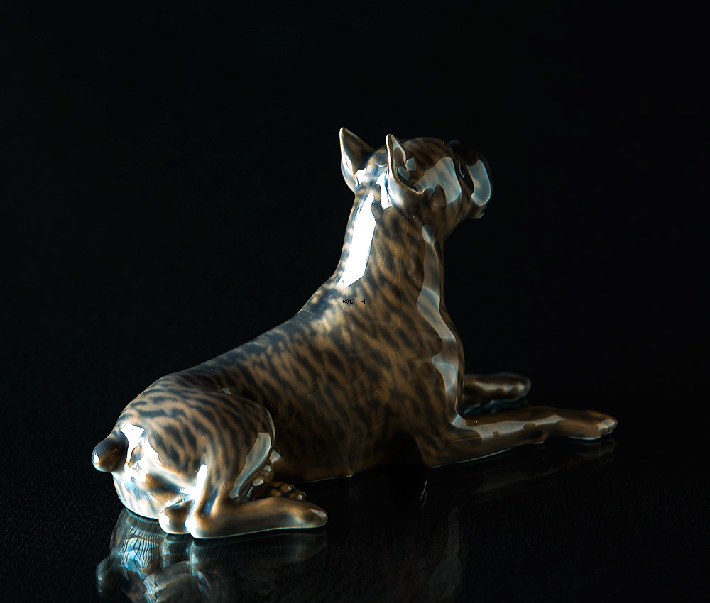 Boxer liegt und schaut nach oben, Royal Copenhagen Hundefigur Nr. 3635