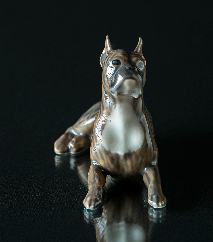 Boxer liegt und schaut nach oben, Royal Copenhagen Hundefigur Nr. 3635