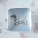 Schale mit Sealyham Terrier, Royal Copenhagen Nr. 3661