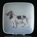 Schale mit Cocker Spaniel, Royal Copenhagen Nr. 3664