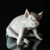 Schwein, Royal Copenhagen Figur Nr. 414