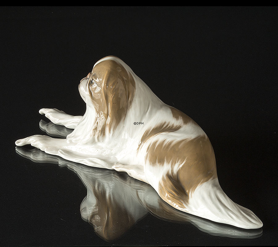 Pekinese, horizontal, GROSS Royal Copenhagen Hundefigur Nr. 1453-422 (1894-1922) - Hat einige braune Flecken