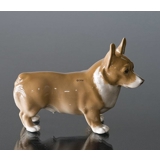Welsh Corgi, Royal Copenhagen Hundefigur Nr. 4593