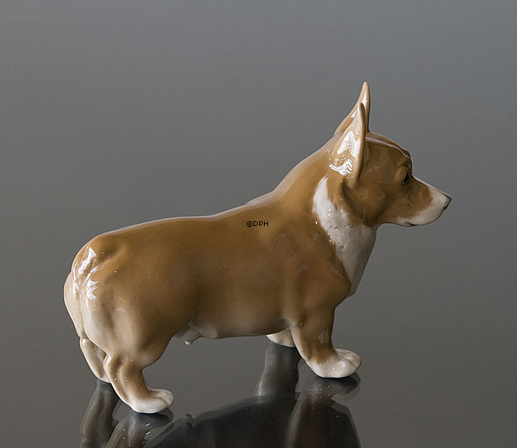 Welsh Corgi, Royal Copenhagen Hundefigur Nr. 4593