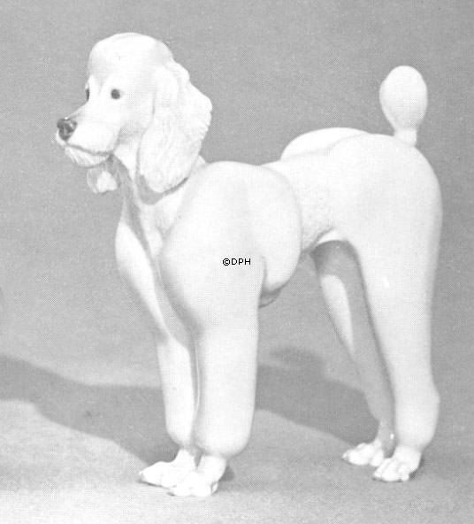 Pudel, Royal Copenhagen Hundefigur Nr. 4638