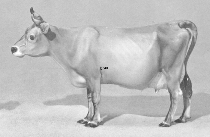 Jersey Kuh, stehend, Royal Copenhagen Figur Nr. 4678