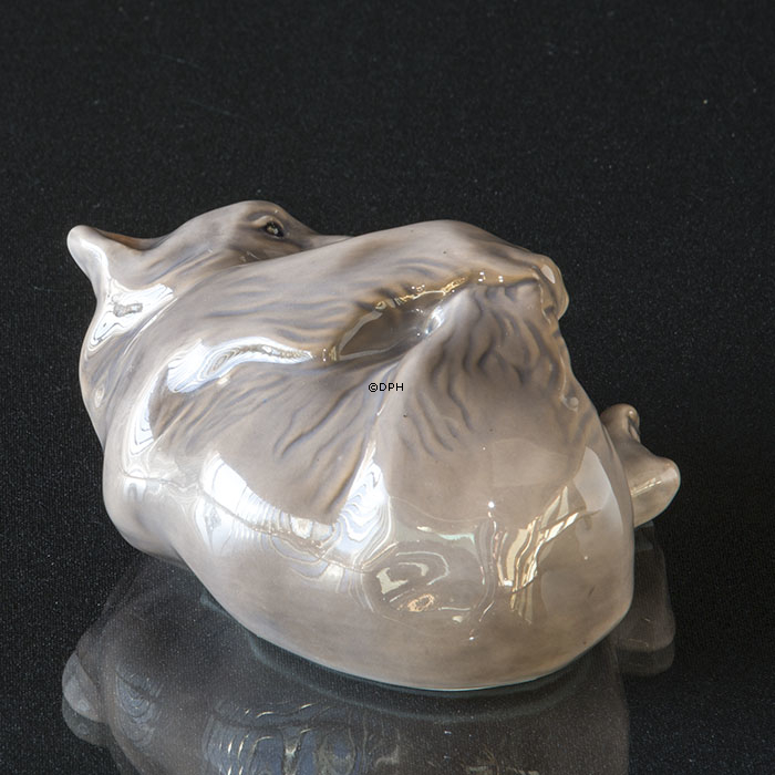 Bär Braun, spielt mit seinem Fuß, Royal Copenhagen Figur Nr. 729