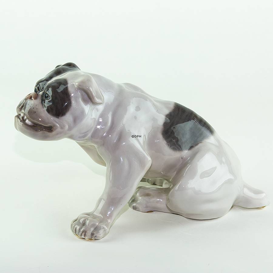 Englische Bulldogge, 18x33cm, Royal Copenhagen Figur nr. 778 (Signiert Knud Kyhn 1907)