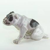 Englische Bulldogge, 18x33cm, Royal Copenhagen Figur (Signiert Knud Kyhn 19...