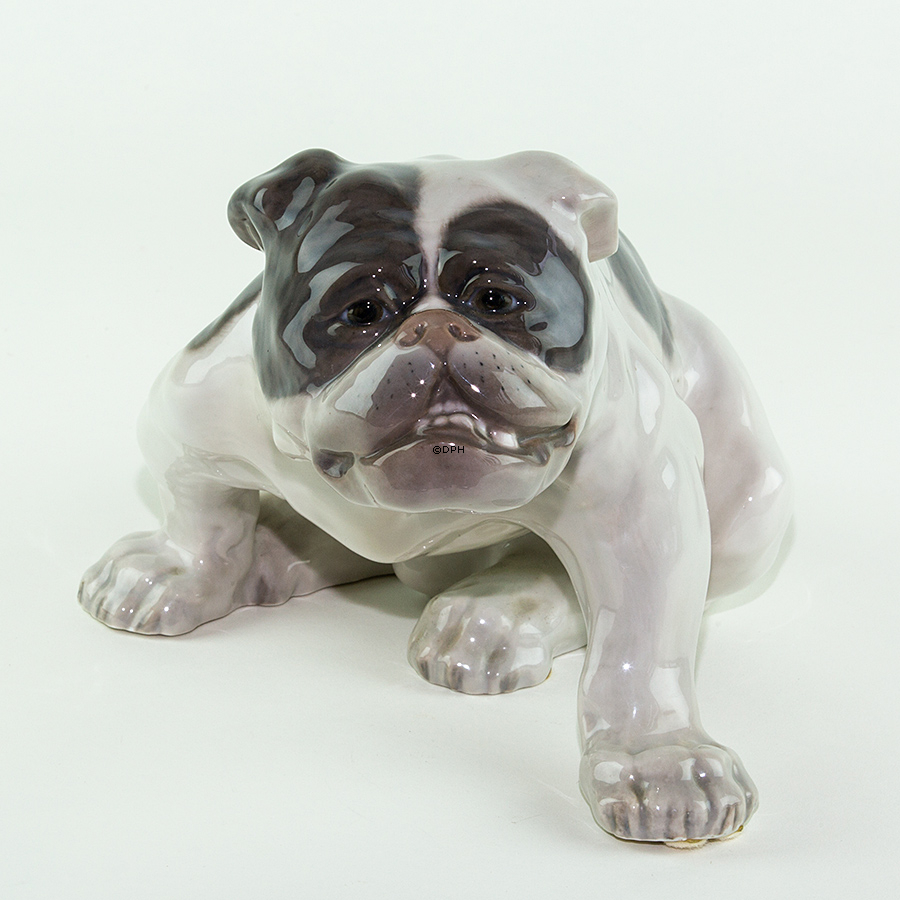 Englische Bulldogge, 18x33cm, Royal Copenhagen Figur nr. 778 (Signiert Knud Kyhn 1907)