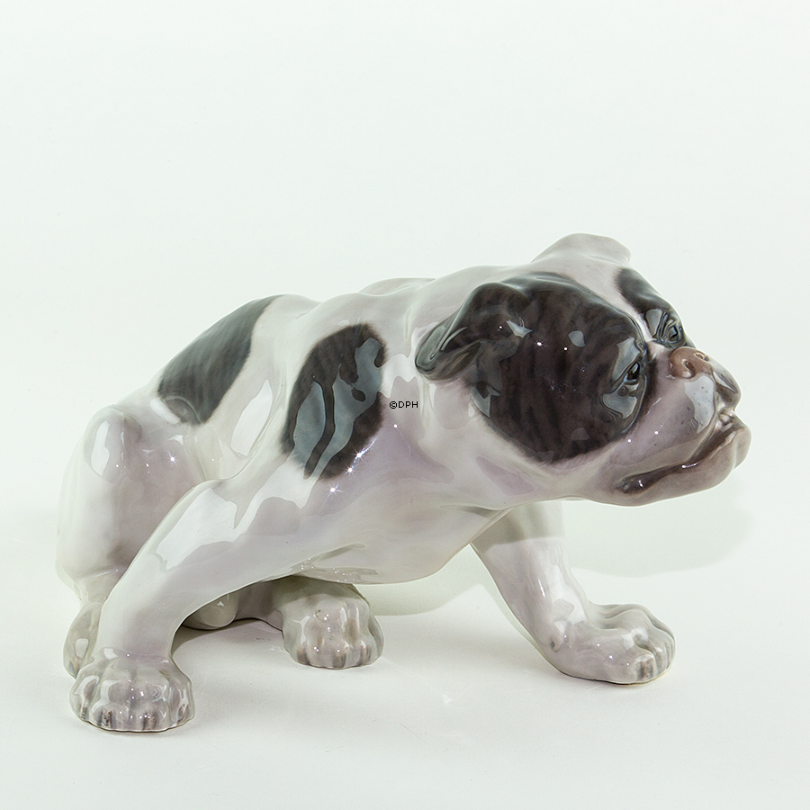 Englische Bulldogge, 18x33cm, Royal Copenhagen Figur nr. 778 (Signiert Knud Kyhn 1907)
