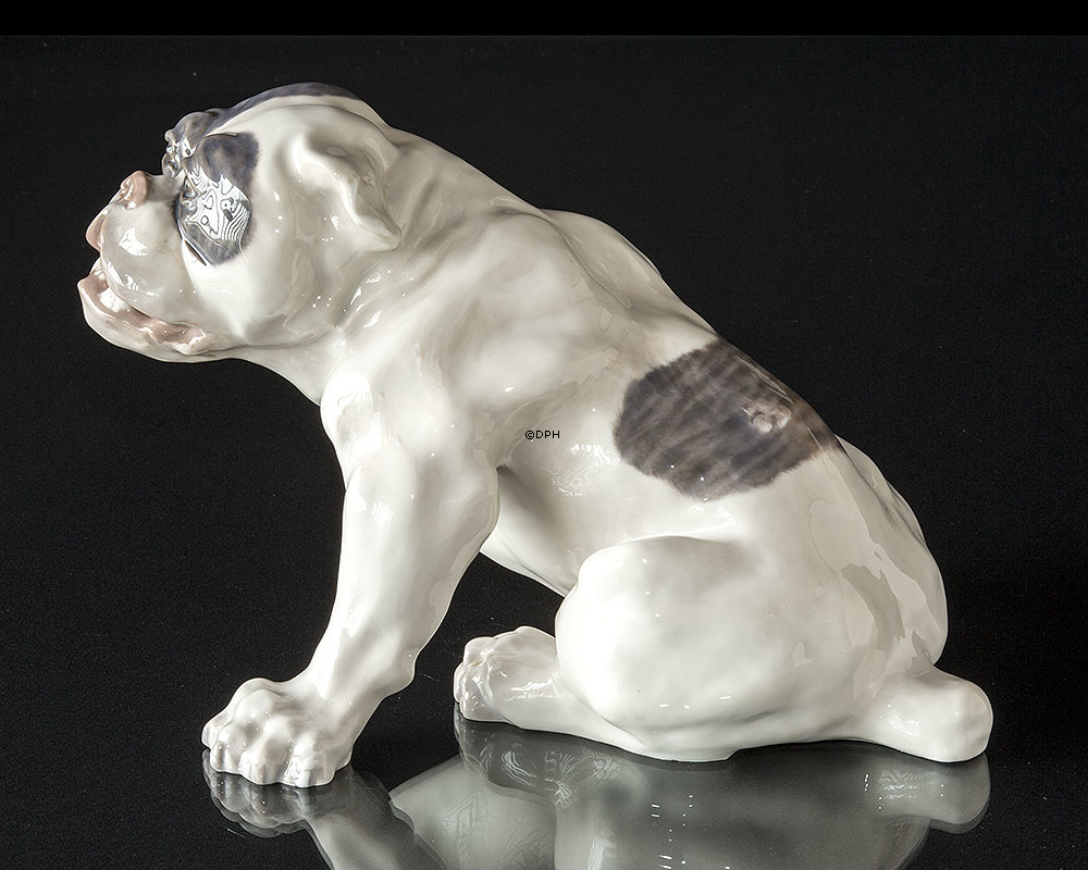 Englische Bulldogge, 23x38cm, Royal Copenhagen Figur Nr. 801 (Signiert Knud Kyhn 1907)