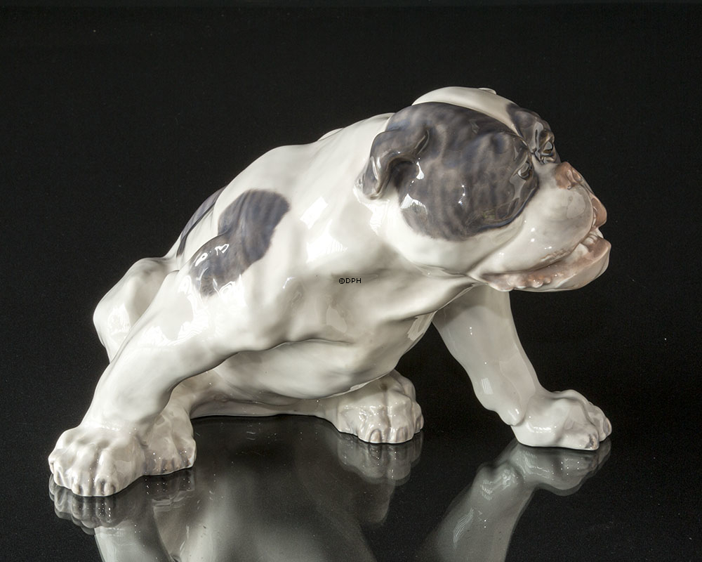 Englische Bulldogge, 23x38cm, Royal Copenhagen Figur Nr. 801 (Signiert Knud Kyhn 1907)