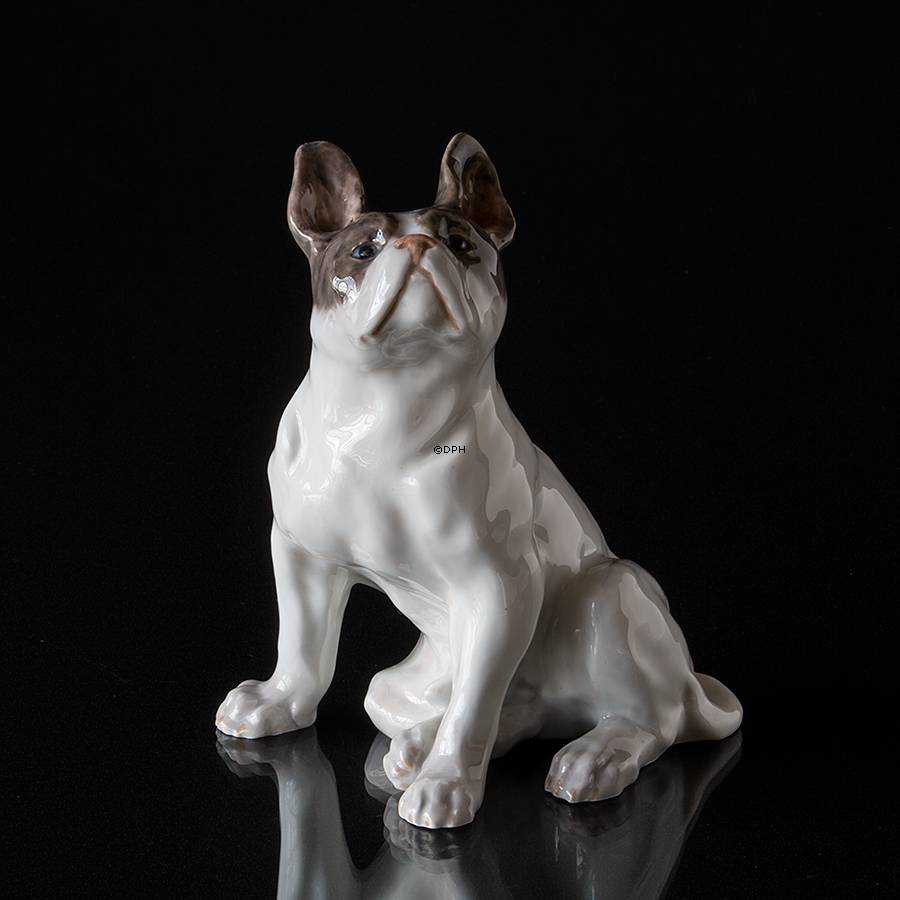 Französische Bulldogge, Royal Copenhagen Hundefigur Nr. 956