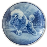 Ravn Hundeteller Nr. 38, Zwergpudel