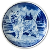 Ravn Hundeteller Nr. 56, Cairn Terrier