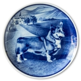 Ravn Hundeteller Nr. 57, Welsch Corgi