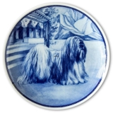 Ravn Hundeteller Nr. 59, Lhasa apso