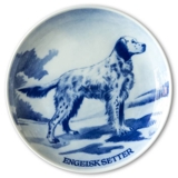 Ravn Hundeteller Nr. 6, English Setter