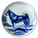 Ravn Hundeteller Nr. 10, Jämthund (Schwedischer Elchhund)