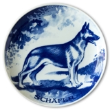 Ravn Hundeteller Nr. 13, Deutscher Schäferhund