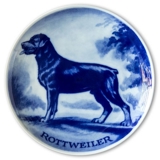 Ravn Hundeteller Nr. 19, Rottweiler