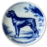 Ravn Hundeteller Nr. 20, Riesenschnauzer