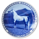 Ravn Pferdeteller Nr. 2, Araber