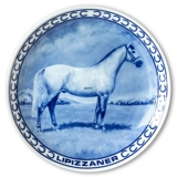Ravn Pferdeteller Nr. 6, Lipizzaner