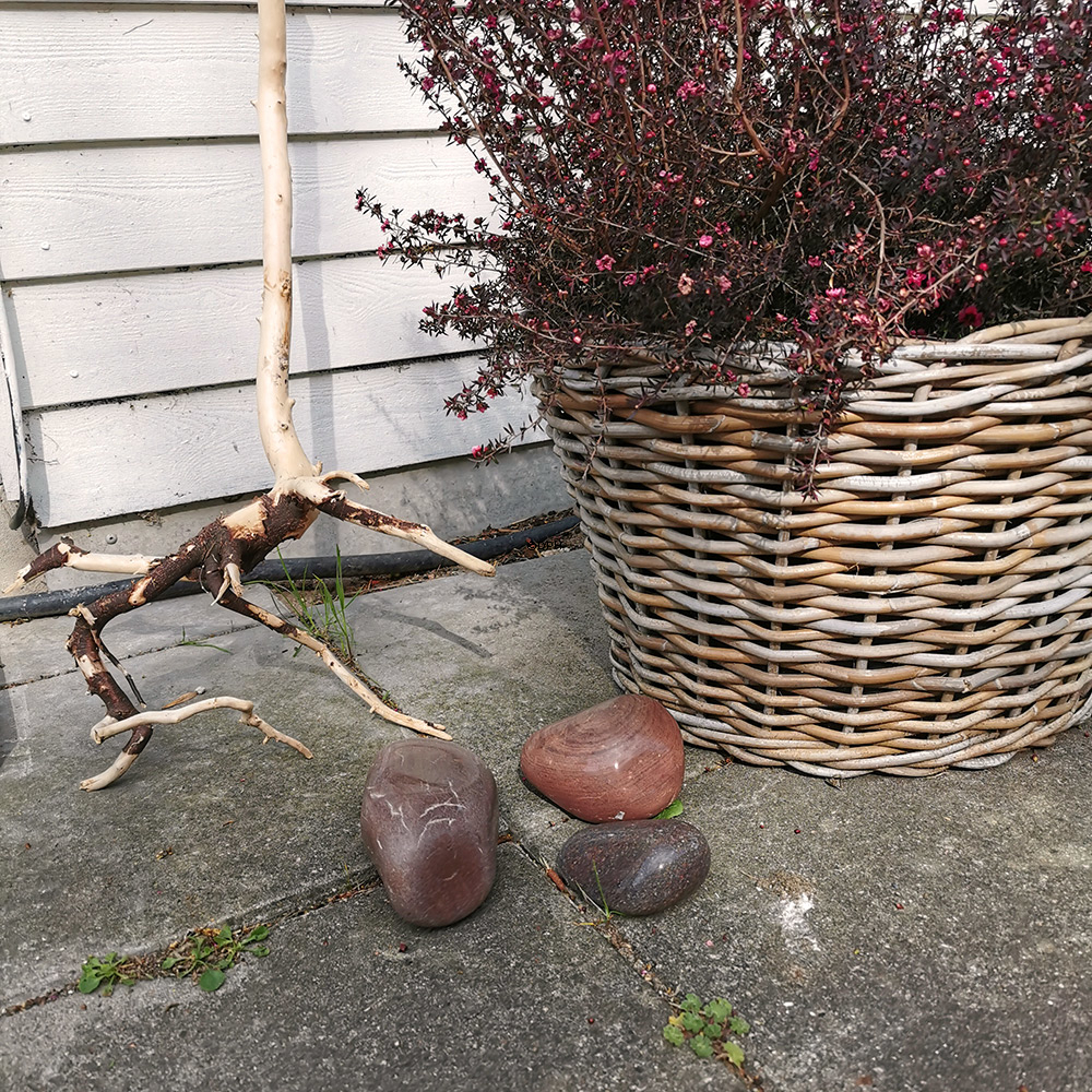 Stein, 1 Stk. - Dekorativer polierter und gewaschener Naturstein 8-17cm