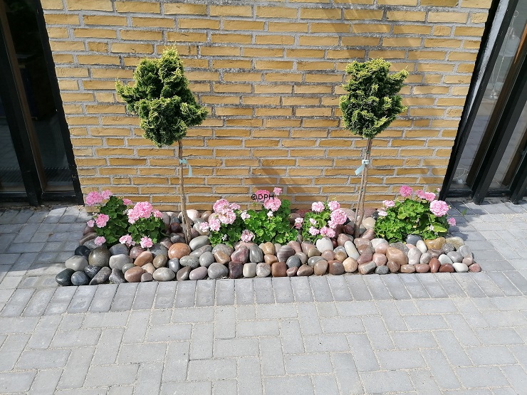 Polierter ungewaschener und unbehandelter Stein, 1 Stk. - Dekorativer Naturstein 8-17cm, sortiert