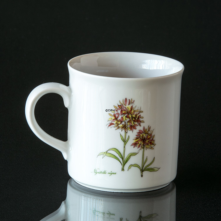 Schwedischer Landschaft Blumenbecher Jämtland Gymnadenia Nigra