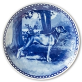 Tove Svendsen Hundeteller, Weimaraner