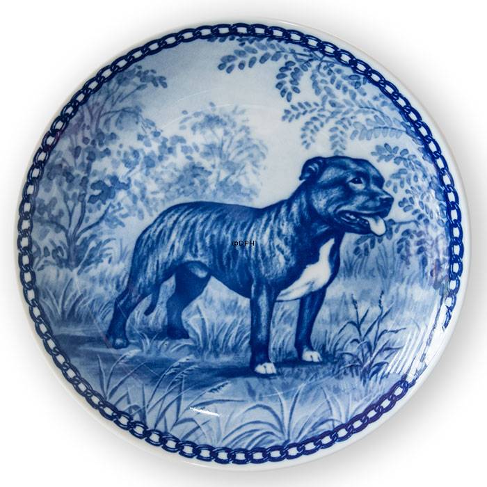 Tove Svendsen Hundeteller, Staffordshire Bull Terrier Hund