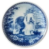 Tove Svendsen Hundeteller, Bobtail