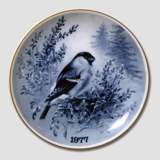 Tove Svendsen, Vogelteller Gimpel 1977