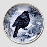 Tove Svendsen, Vogelteller Amsel 1991