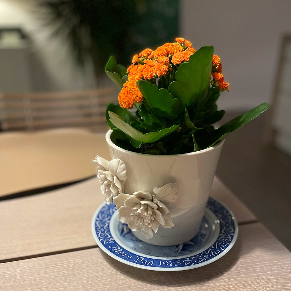 1976 Rörstrand Muttertagsteller